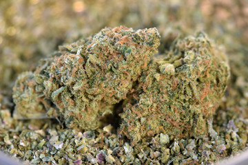 MK Ultra Dried Cannabis 04
