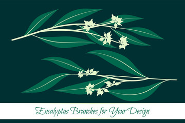 Eucalyptus Leaves Big Selection. Vector Branches Set. Vintage Greenery. Floral Decorative Elements for Rustic Wedding Design, Invitation, Card. Different Eucalyptus Leaves in Watercolor Style.