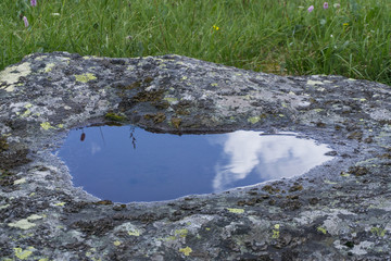 .puddle of clear, transparent rainwater on a wild stone.