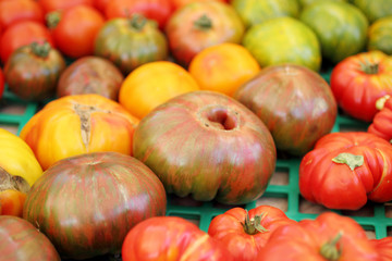 Assorted organic heirloom tomatoes at the farmer's market.

