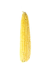 corn on isolated white background