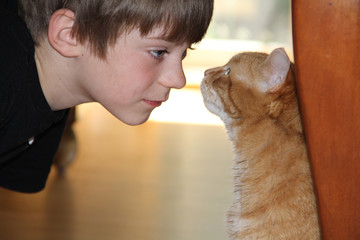 Boy meets cat 