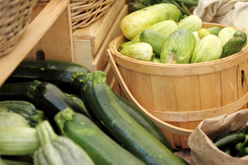 Fresh zucchini and squash at the farmer's market.