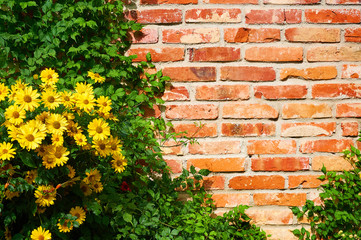 A beautiful image with decorative flowers. A place for an inscription on a brick wall.