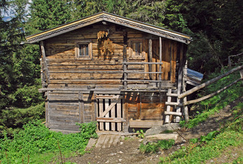 Wandern im Zillertal