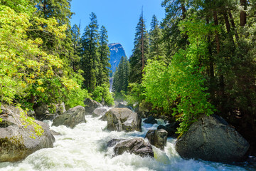 Fototapeta na wymiar Merced River landscape in Yosemite National Park. Whitewater Rapids. California, USA.