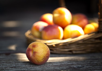 Ripe apricots fruit in the sunshine