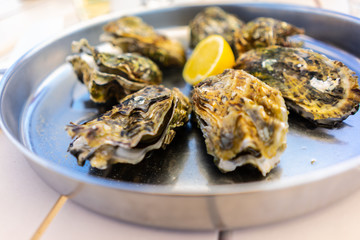 Fresh Oysters close-up