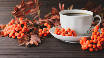 Coffee cup in composition with ash berry