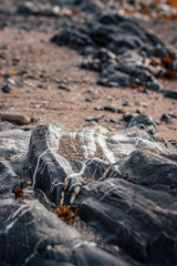 rocking beach