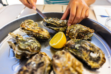 Fresh Oysters close-up