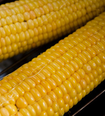 Fresh corn on cobs on grill, closeup.