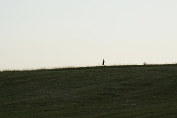 Naklejka na ściany i meble People walking on a meadow during sunset. Slovakia