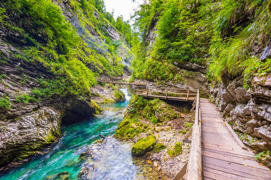 Vintgar gorge, Slovenia. The Radovna river with wooden paths and bridge above. Beautiful water river in Triglav national park. Waterfall, forest and fresh nature vegetaion. Tourist paths and hiking.