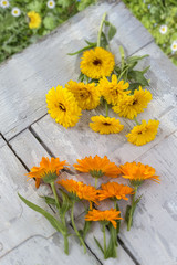 Calendula. two bouquet orange and yellow , Marigold flower with leaf white wooden table over green garden