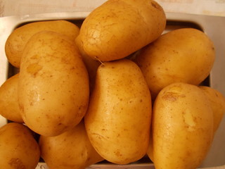 Potatoes