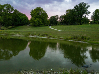 Summer Evening in the Park