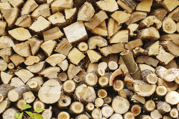 Preparation of firewood for the winter. firewood background. Pile of firewood.