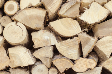 .Firewood logs close-up