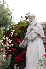 A Statue of Saint Francis of Assisi in the Gardens of the Carmel Mission Basilica in Carmel,...