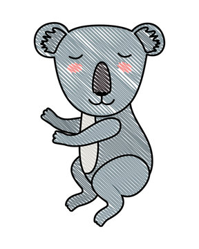 wild koala isolated icon vector illustration design