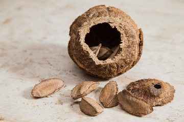 Castanha-do-Par&aacute; (Bertholletia Excelsa) nuts over a marble surface. 