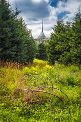 Fototapete bei efototapeten.de bestellen   