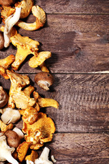 variety of raw mushrooms on grey table. oyster and other fresh mushrooms