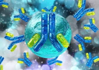 antibodies, immunoglobulins, the immune system, 3D rendering
