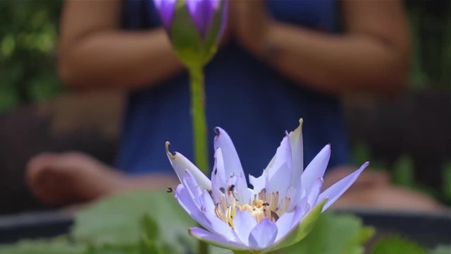 Young asian girl sits and meditates with folded hands in Lotus position behind Lotus flower. Woman in yoga pose