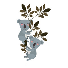 wild koalas couple in the jungle vector illustration design