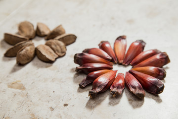 Pinion fruits and Castanha-do-Pará nuts over a marble surface.