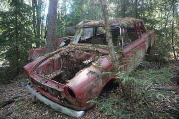 Auto Friedhof