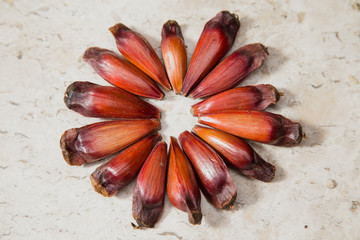 Pinion fruits over a marble surface.