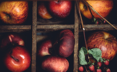basket full of red fruits