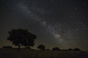 Fototapeta na wymiar Night sky with milky way in Alentejo, Portugal