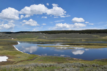 Reflections in the river in the Yellowstone National Park