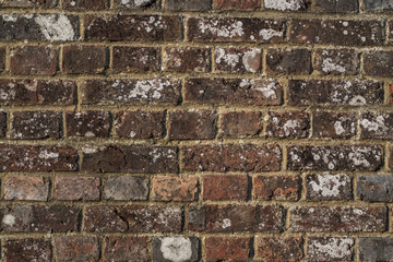 Brickwall Texture weathered