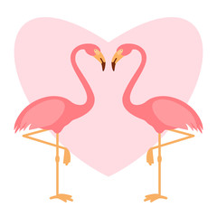Pink flamingoes pair, love illustration, two loving birds, vector