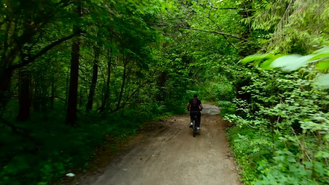 Man riding bicycle in calm green woods. Aerial view.