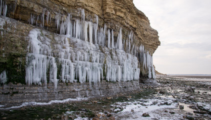 Falaise Marais d'Yves gelée Charente Maritime France