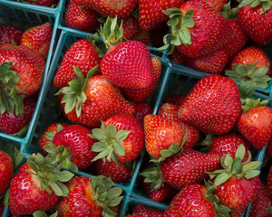 Plastic pint containers of fresh farmer's market strawberries viewed from above.