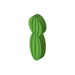 Cactus isometric right top view 3D icon