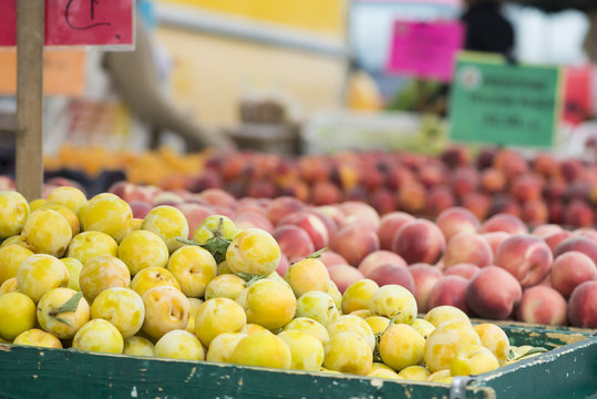 Yellow plum and peaches piled in bins at a farmer's market.  Signage out of focus in the background.