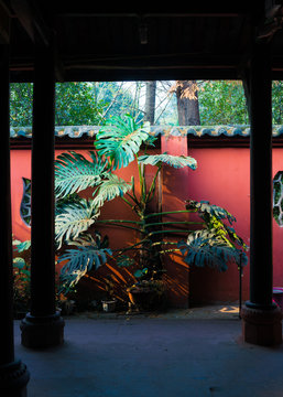 trees in front of building