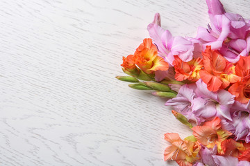 Beautiful gladiolus flowers on light wooden background