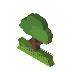 tree isometric right top view 3D icon