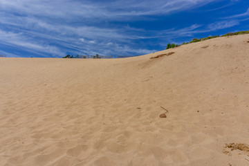 Fototapeta na wymiar The Sand Dunes of Sao Martinho do Porto, Alcobaca, Portugal