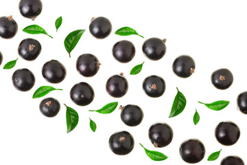 black currant with leaf isolated on white background. Top view. Flat lay pattern