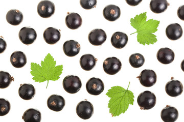black currant with leaf isolated on white background. Top view. Flat lay pattern